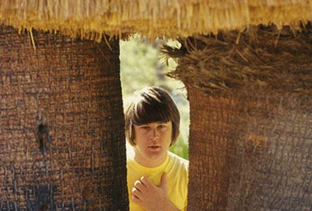 Brian Wilson of The Beach Boys in 1967