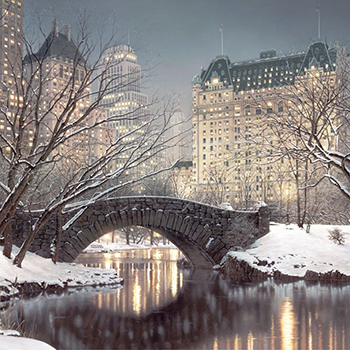 Central Park New York Covered in Snow