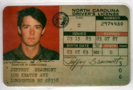 Jeffrey Beaumont North Carolina Drivers License from Blue Velvet