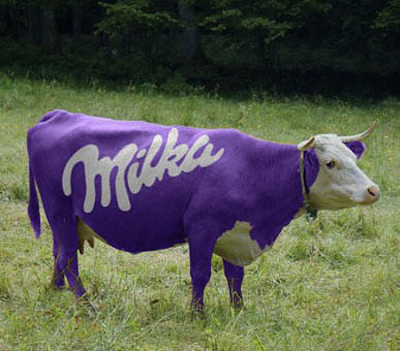 Purple Milka Cow