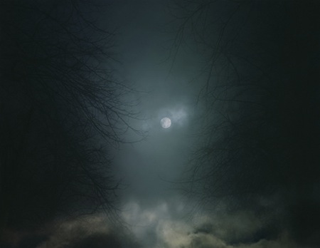 Moon Through Trees