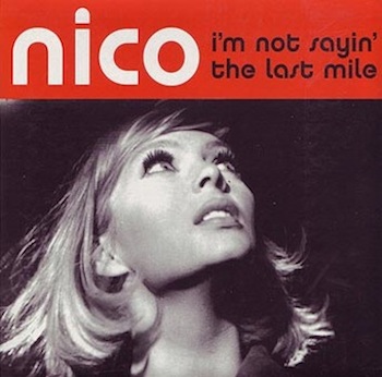 Nico I'm Not Sayin' Cover Art 