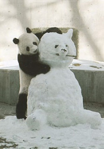 Snow Panda