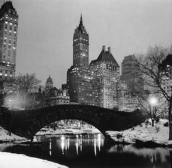 Central park, New York in the Snow