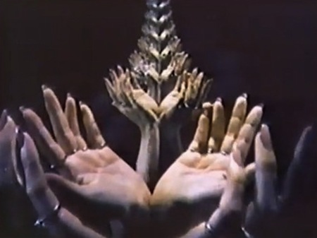 Video Feedback Hands
