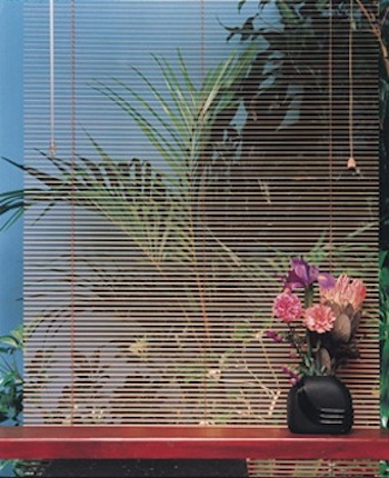 Wildflowers with Blind